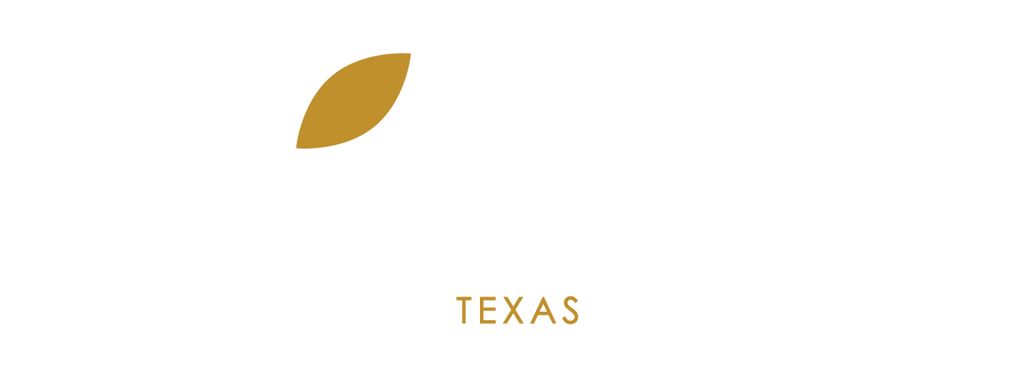 Spa Castle Texas